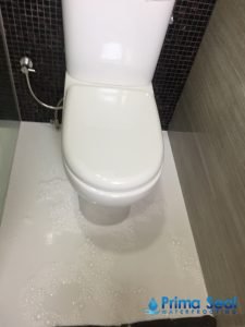 Toilet-Leakage-Prima-Seal-Waterproofing-Singapore_wm