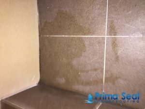 seepage-primaseal-waterproofing-singapore_wm