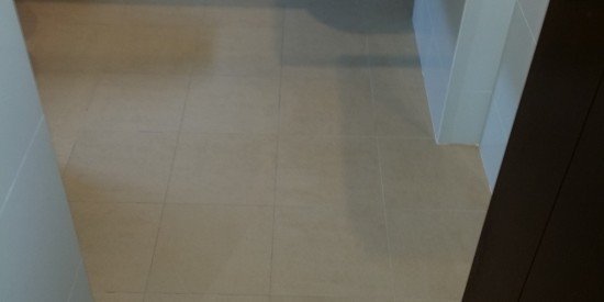 Common-bathroom-waterproofing-singapore-landed-Heng-Mui-keng-terrace-1
