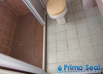 Common Bathroom Waterproofing Singapore (Condo – Jalan Rajawali)