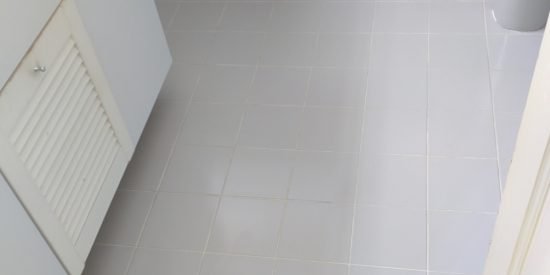 Common-bathroom-waterproofing-singapore-landed-watten-rise-3