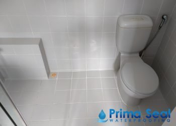 Common Bathroom Waterproofing Singapore (Landed – Watten Rise)