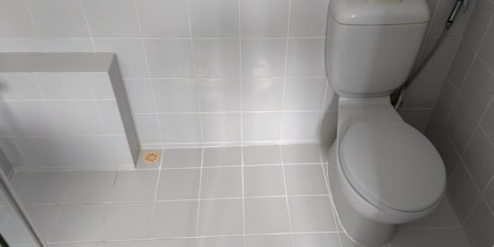 Common-bathroom-waterproofing-singapore-landed-watten-rise-7